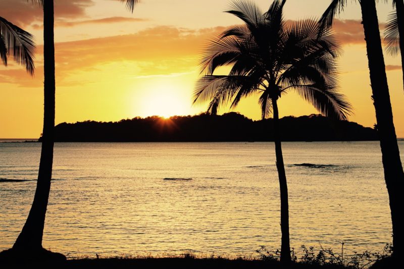 Destination Retreats - Santa Catalina Retreats Palm Tree Sunset