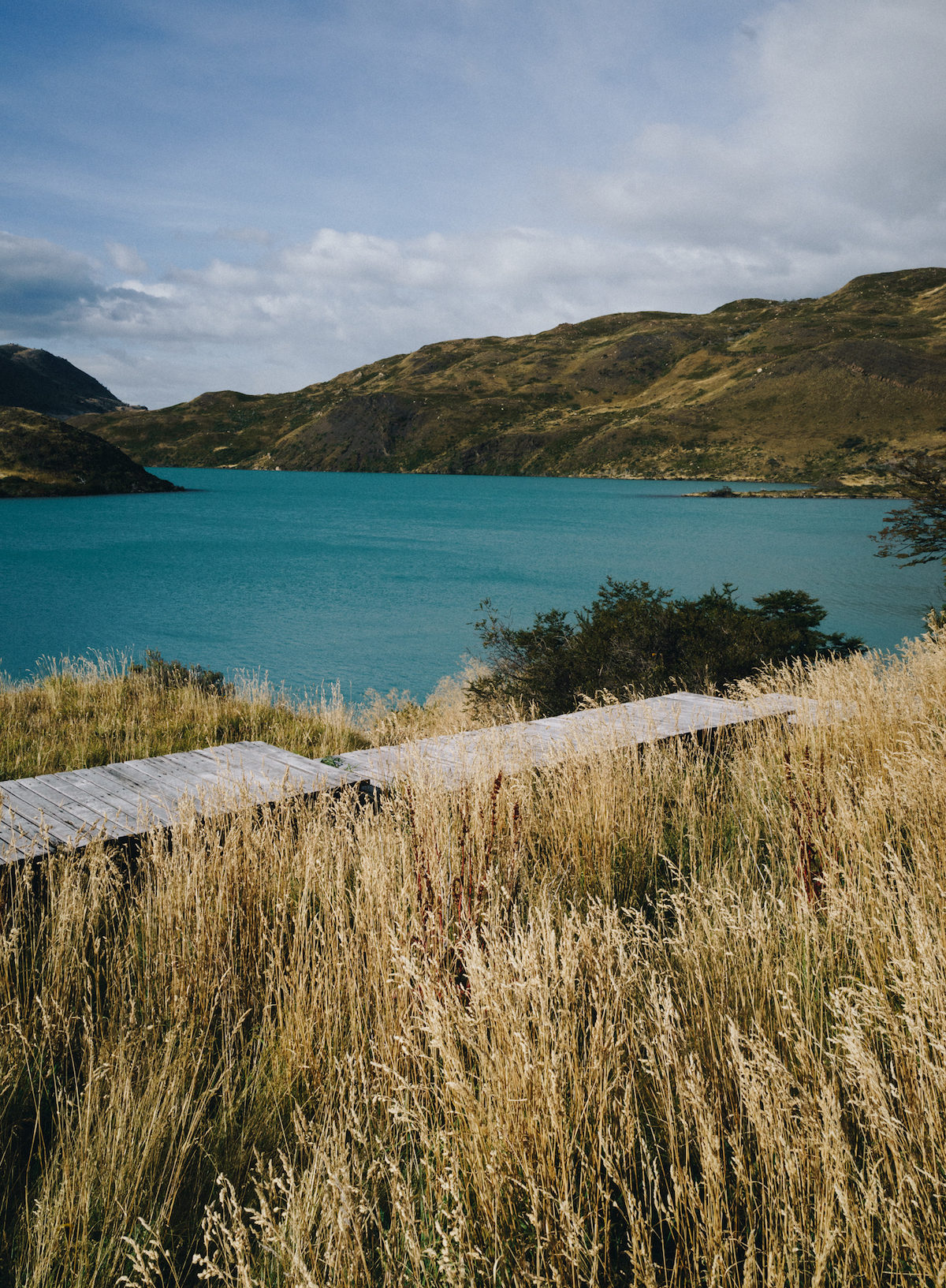 A serene landscape of golden grass and a blue lake in Patagonia, Chile - Photo by Louis A W Sheridan